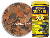 Tanganyika - кормление цихлид из озера Танганика