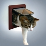 Дверца врезная двухсторонняя "Luxe" для кошек, глубина 19-65 мм
