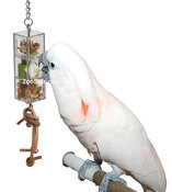 Развивающая игрушка - кормушка для попугаев и других птиц "Foraging 3 sliding doors" 