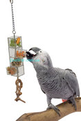 Развивающая игрушка - кормушка для птиц "Foraging 2 drawers & 2 doors"