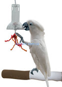 Развивающая игрушка - кормушка для попугаев "Foraging Capsule" 