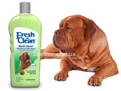 FRESH 'N CLEAN Medi-Cleen - лечебный шампунь для собак