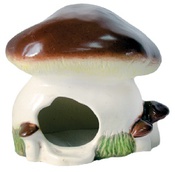 Домик - гриб Белый
