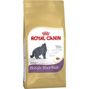 British Shorthair 34 для взрослых кошек породы Британская короткошерстная