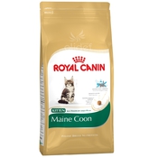 Maine Coon Kitten Корм для котят породы Мейн-кун с 4 до 12 месяцев