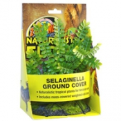 Selaginella Ground Cover – искусственное растение на камне для террариума (селагинелла)