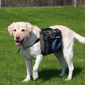 Рюкзак для собак на спину
