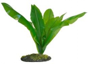 Bird Nest Fern - Искусственное растение для декорации террариума в стиле "тропический лес" на камне