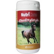 Витаминно-минеральная добавка для поддержания и восстановления суставного аппарата у лошадей "Нутри Хорсе Хондро Плюс"